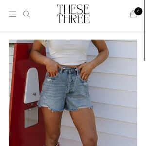 These three NWT Jack Shorts Small